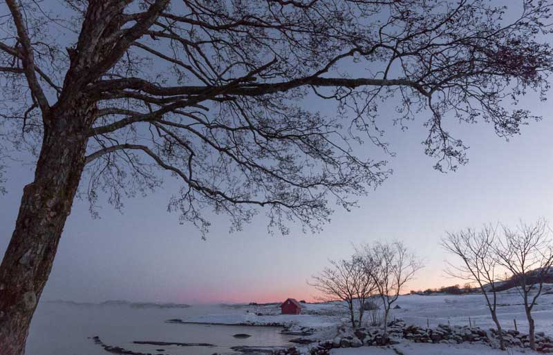 Vintermorgen | Veggbilder | Fotokunst til salgs | Kunstfoto | Kunst | Foto | Bilde